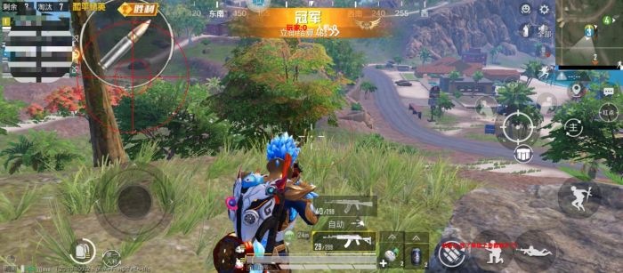 和平精英辅助配合是什么（和平精英辅助叫什么）